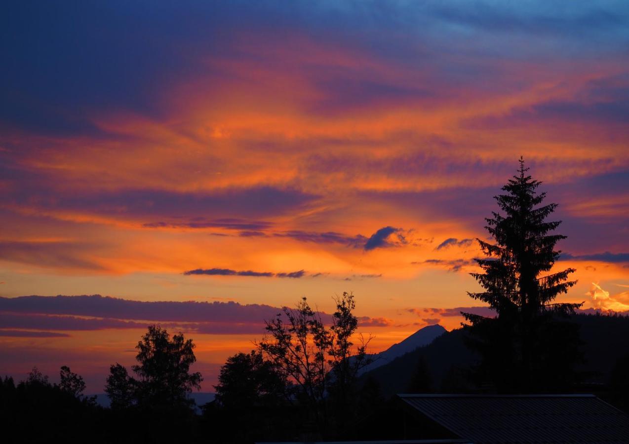 Chalet Arpitan - Les Carroz - Grand Massif Exterior foto