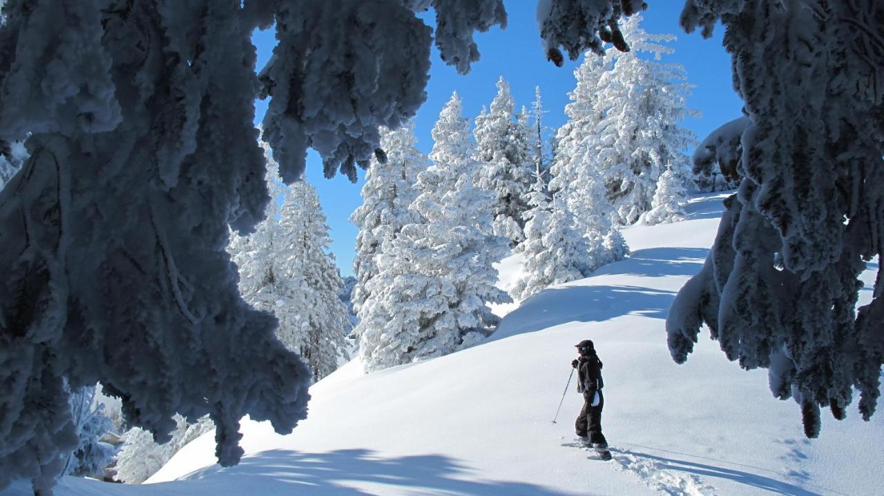 Chalet Arpitan - Les Carroz - Grand Massif Exterior foto